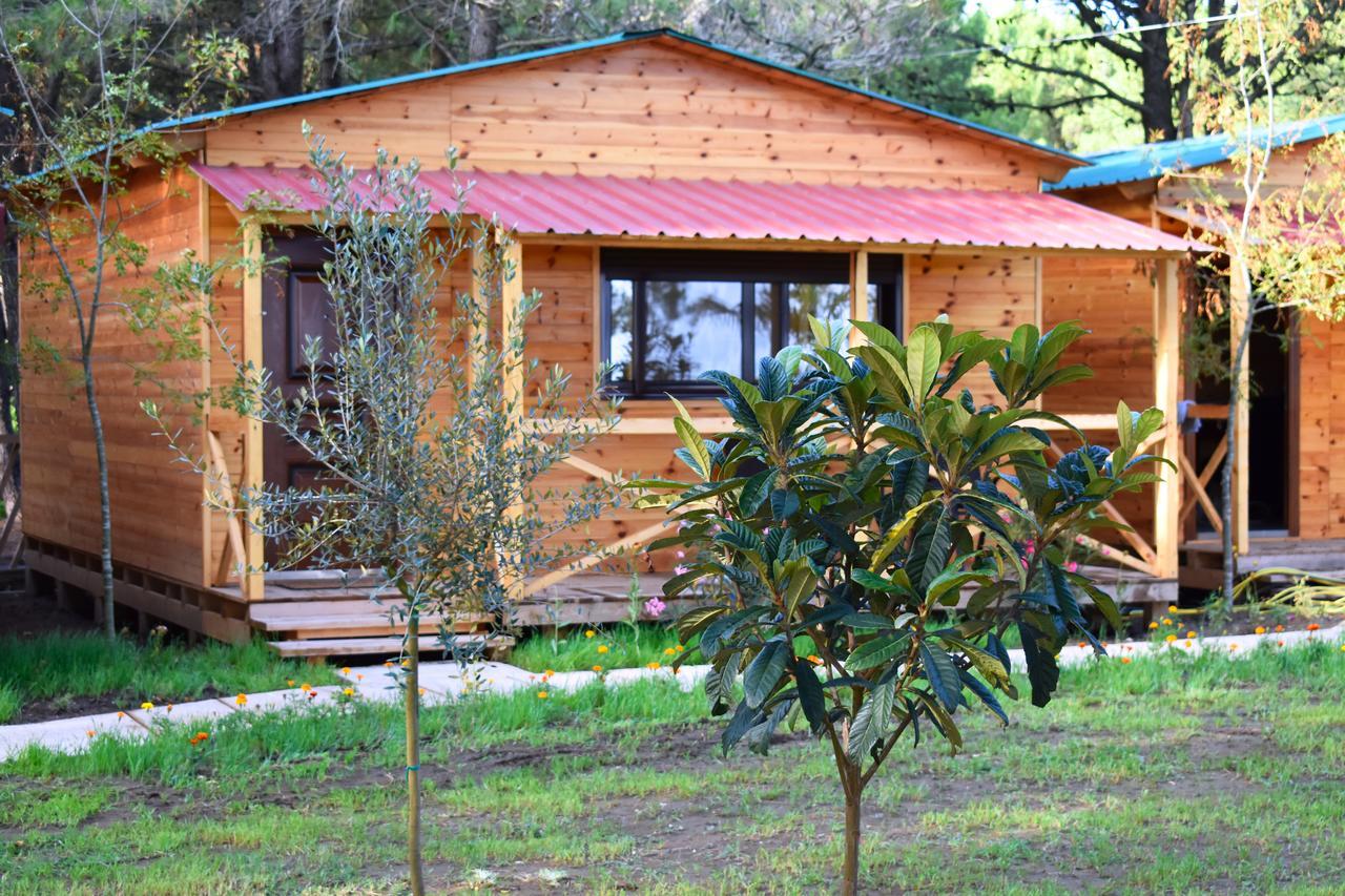 Saranda Beach Bungalow Βίλα Ούλτσιν Εξωτερικό φωτογραφία